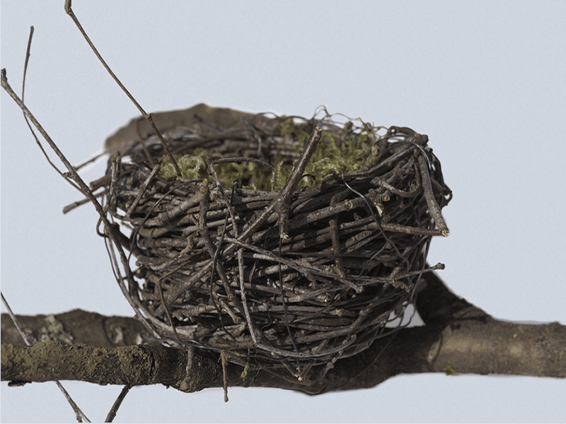 nest totem