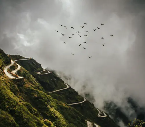Flock of Birds Spiritual Meaning 1 flock of birds symbolism and meaning
