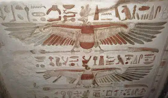 Vulture Symbolism and Meaning 3 Black Vulture Symbolism
