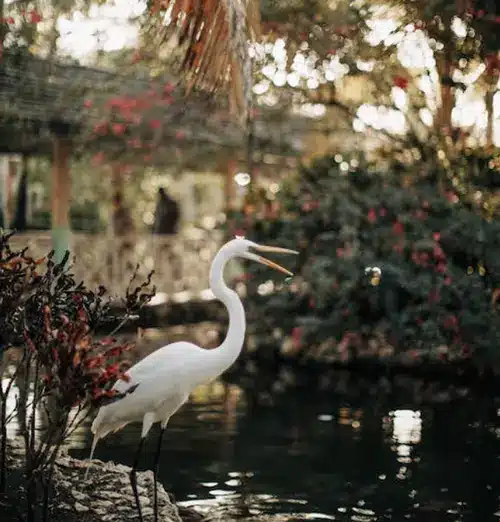 power animal heron