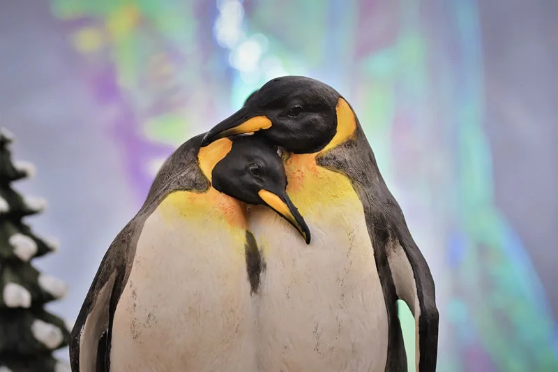 Penguin Symbolism: 5 Spiritual Meanings and Interpretations 3 Penguin spiritual meaning