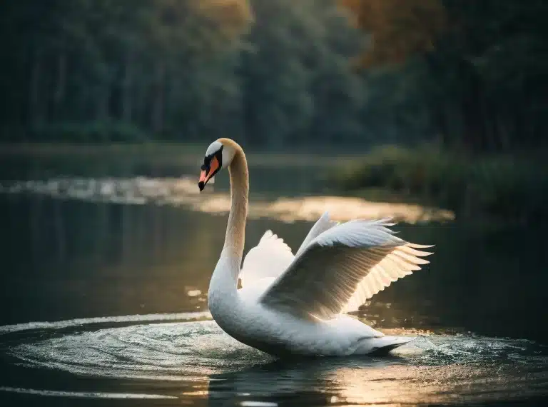 SWAN SYMBOLISM AND SPIRITUAL MEANING
