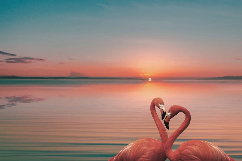 spiritual meaning of flamingo