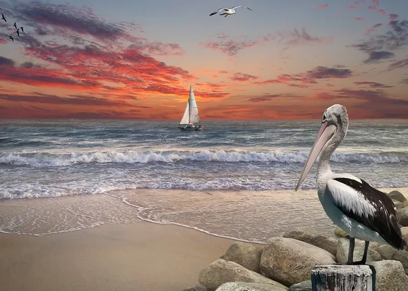 symbolism of pelican